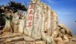 山东泰山爆料者名单最新,幕后真相一一揭晓